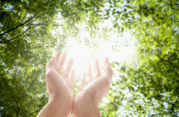 Reiki 2 Certification